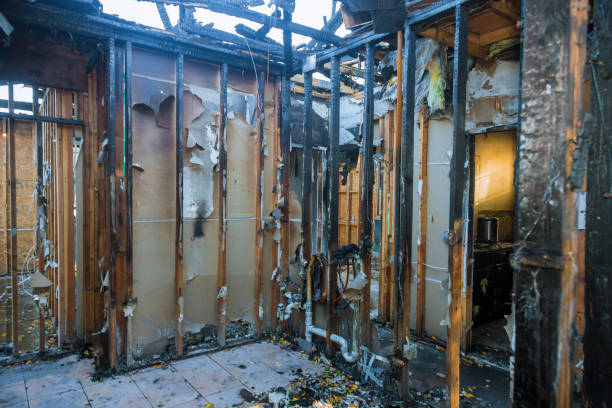 Professional Emergency Fire Cleanup technician working in Pecan Plantation, TX